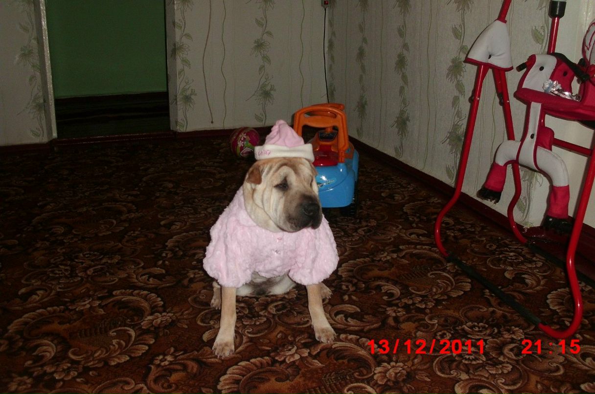 Вован Грищенко | Херсон