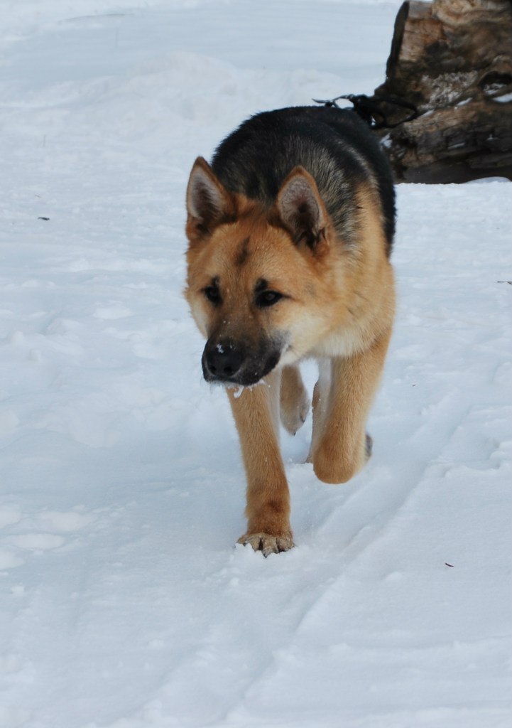 Rodin Eugene | Самара