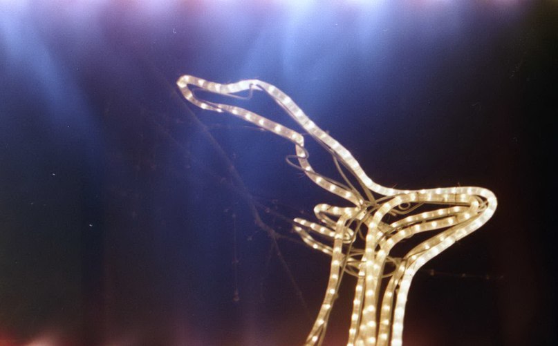 Светлана Ворошилова | Минск