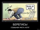 Фотография Максим Янович