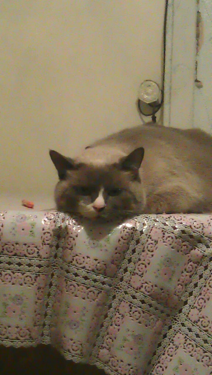 Макар Худоян | Краснодар