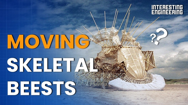 Strandbeesten: Lifelike, wind powered