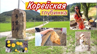 Поймали курицу и приготовили плов на костре ^^ KOREA VLOG