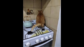 ПАЦАНЫ АТАС!