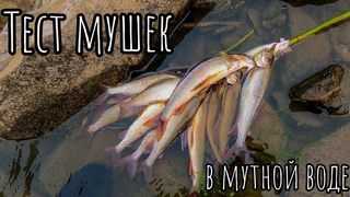ПОЙМАЛ МНОГО ХАРИУСА. ПРОВЕРКА МУШЕК В МУТНОЙ ВОДЕ. ДЕЛАЕМ СНАСТЬ НА ХАРИУСА В ДИКИХ УСЛОВИЯХ.