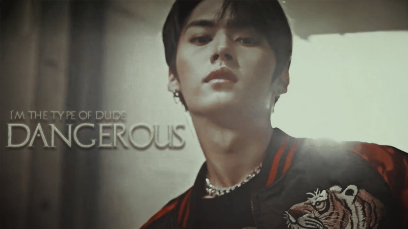 fmv edit: lee know