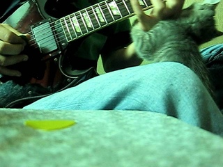 Greco SG & SD Blackouts AHB-1 & Angry Cat    =)