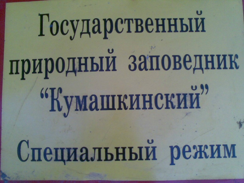 Николай Горяев сергеевич | Урень