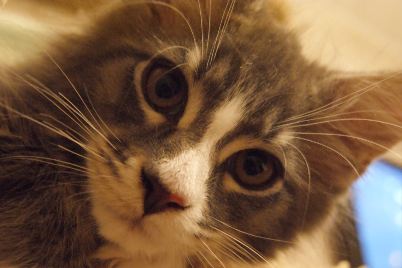 Андрей Меньшенин | Северодвинск