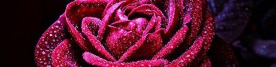 Алёна Щеблыкина | Мечта