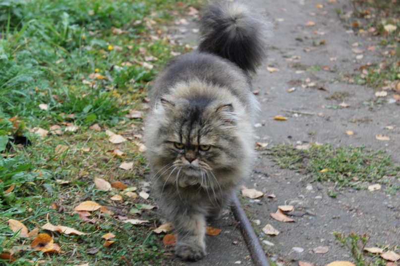 Алексей Леканов | Ухта