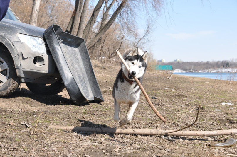 Мария Лынник ...чересчур... | Уфа