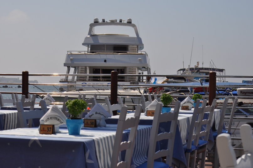 Елена Данилина | Ступино