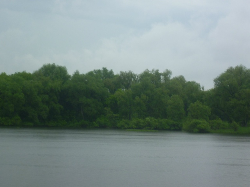 Евгений Летов | Омск