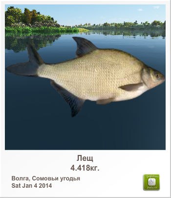 Дмитрий Корецкий | Днепр (Днепропетровск)