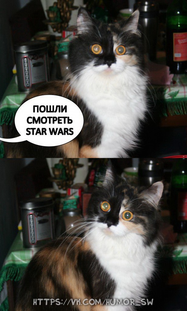 #Humor #Юмор #StarWars #ЗвёздныеВойны 2018 Юмор "Star Wars" ВКонтакте