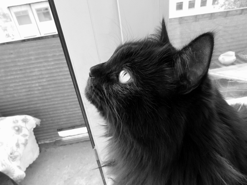 Артемий Демидов | Москва