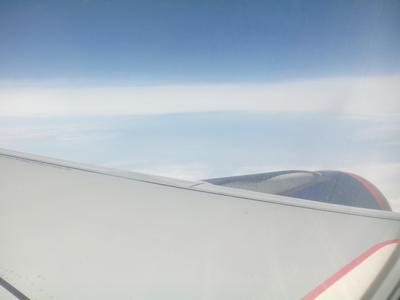 Дарья Прохорова | Москва