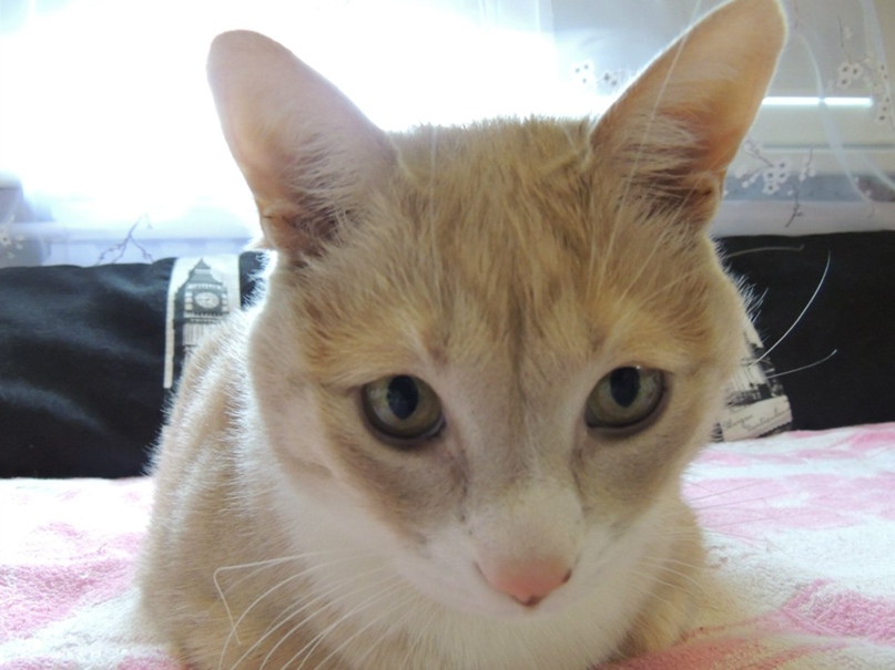 Маришка Третьякова | Санкт-Петербург