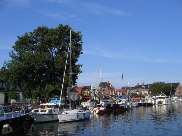 Максим Лось | Санкт-Петербург