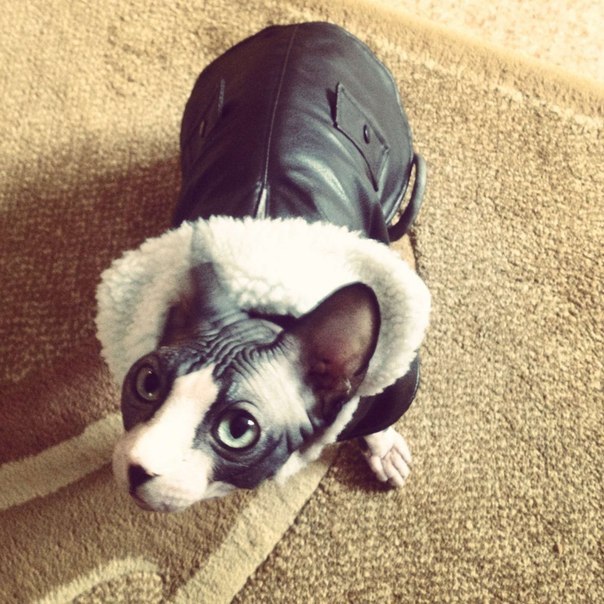 Екатерина Рогозина | Красноярск