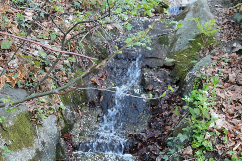 Виталий Скляров 태권도 | Симферополь