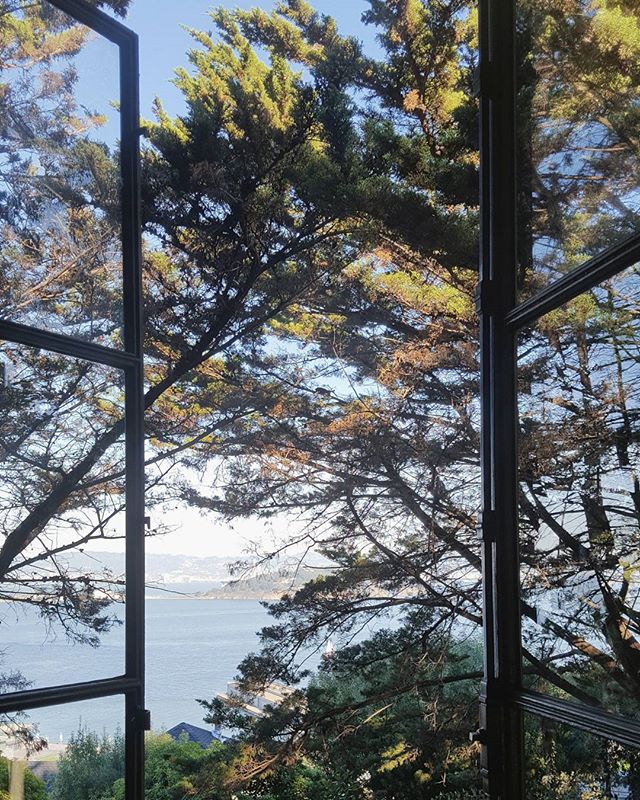 Марина Ли | Monterey