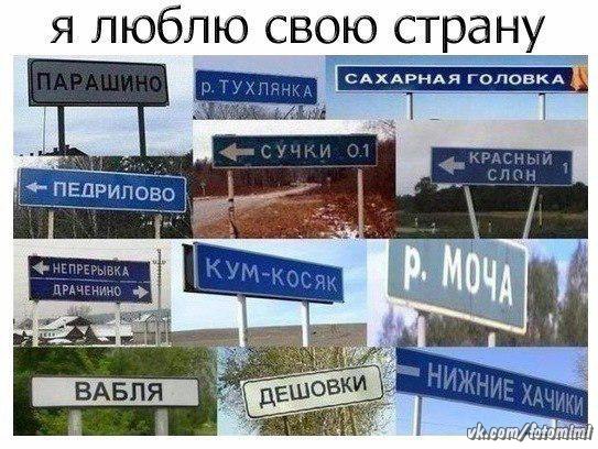 Светлана Зарубина |