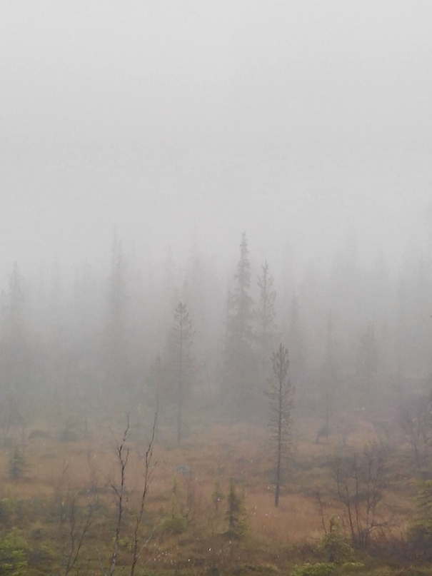 Илья Петров | Мурманск