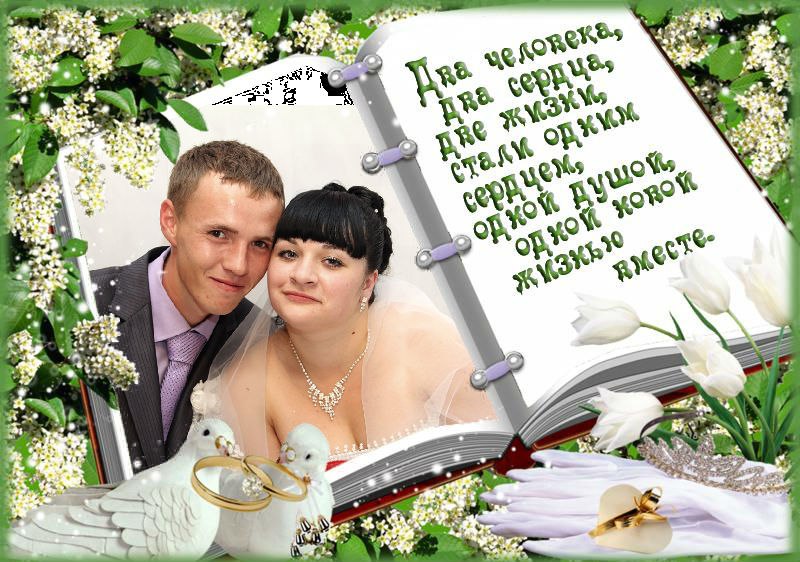 Александра Латышева | Онохой