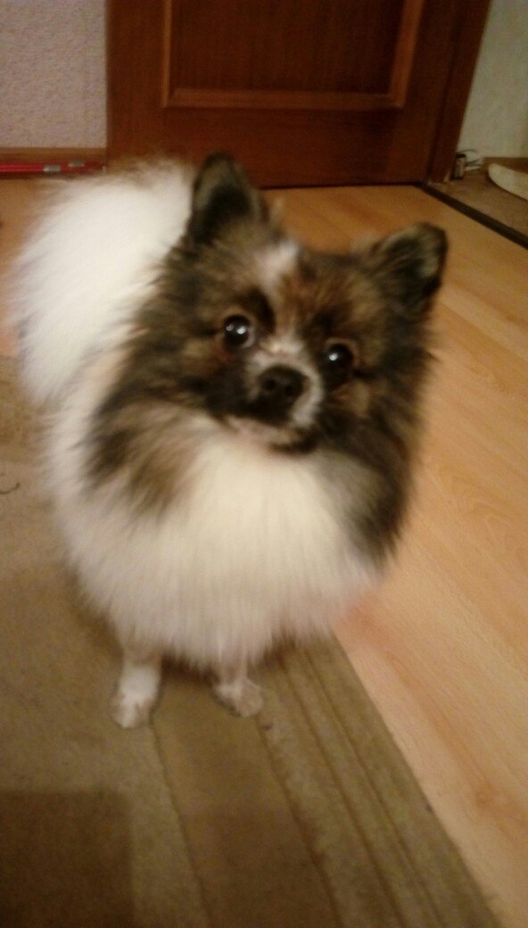 Наталья Жиглова | Тверь