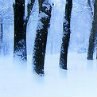 Екатерина Кирилова | Красноярск