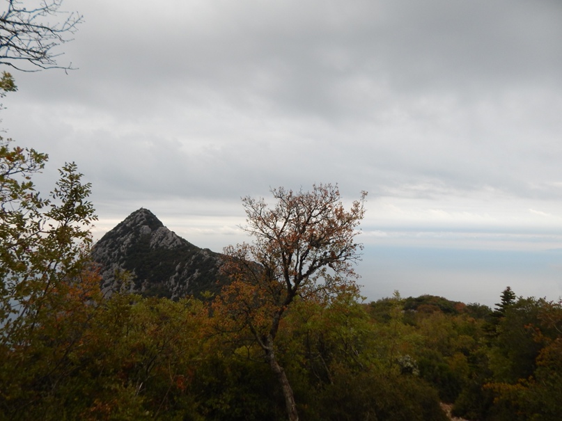 Алексей Голенков | Москва