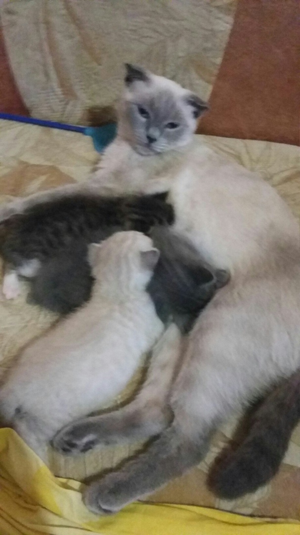 Марина Новак Юрьевна | Краснодар