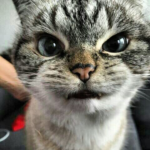 Никита Евсеев | Рыбинск