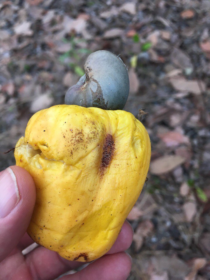Александр Перов | Москва