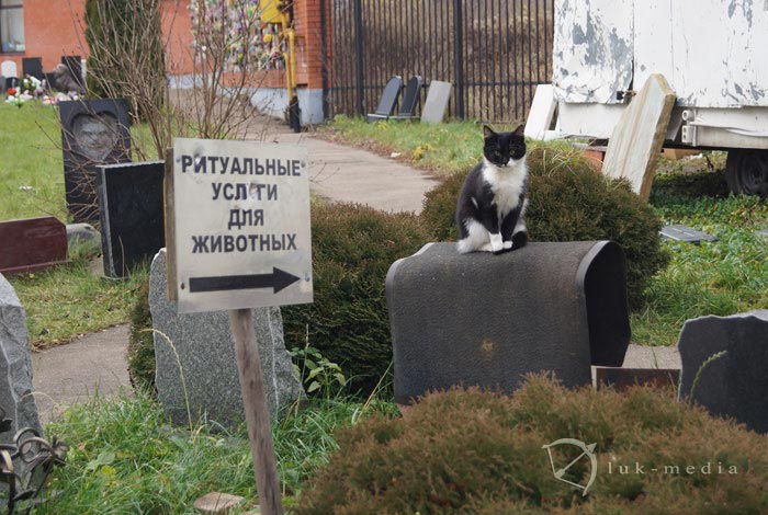Кладбище домашних животных в Москве. Все по-человечески