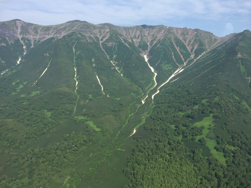 Елена Вербицкая | Киев