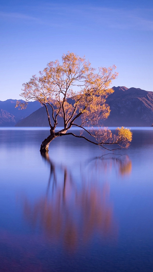 Нина Андреева | Самара