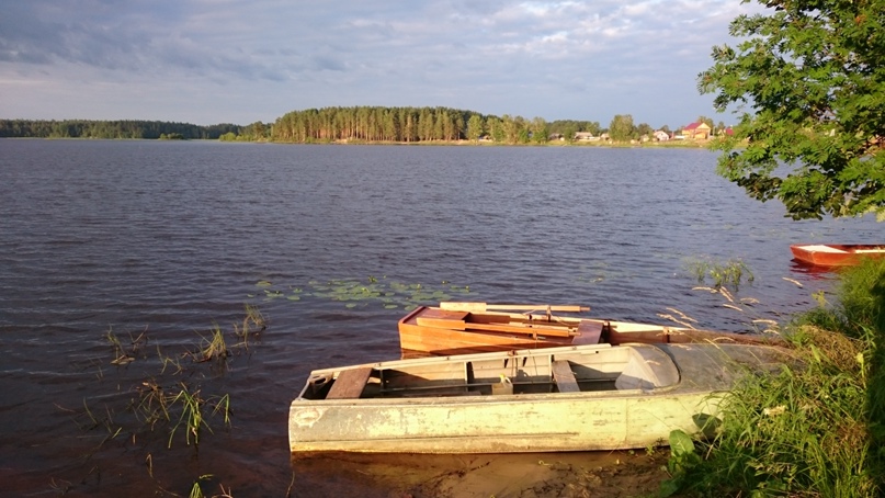 Елена Балдина | Москва