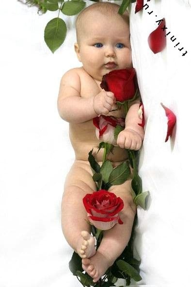 Михаил Алимов | Санкт-Петербург