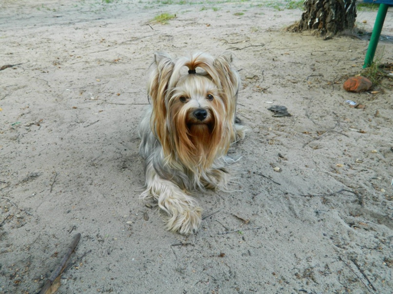 Ира Рыкова |