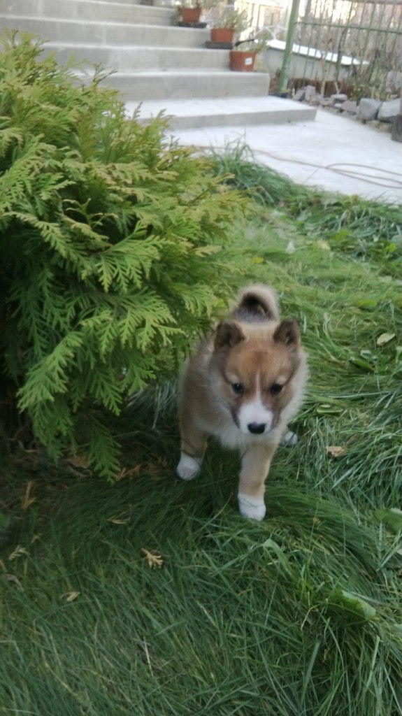 Руслан Гребнев | Минск