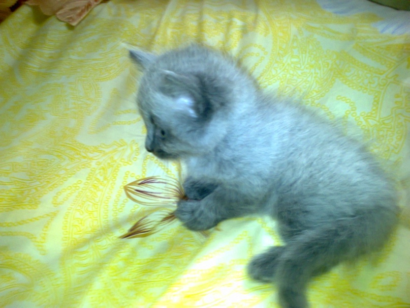 Анастасия Носкова | Пермь