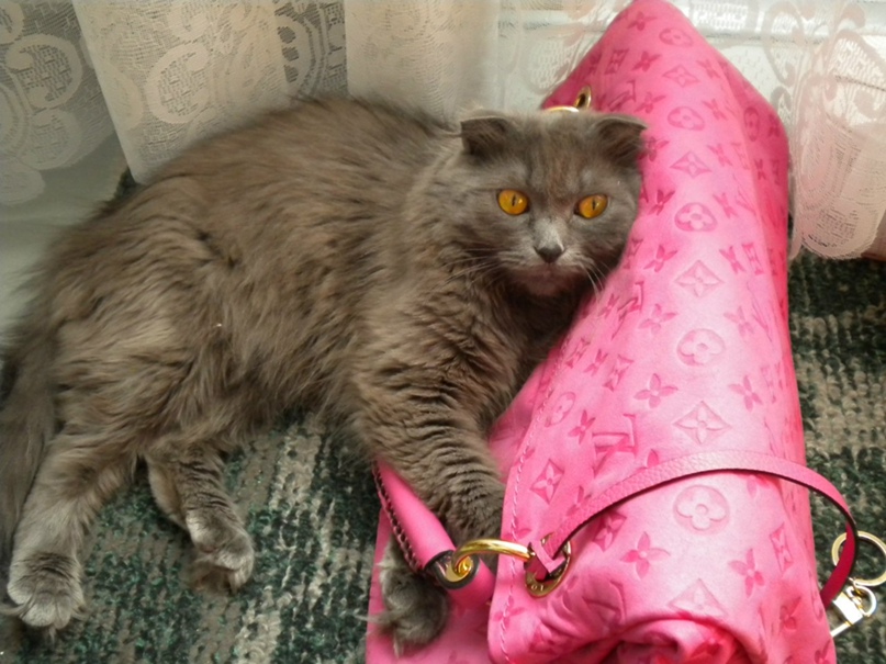 Оксана Колмыкова |