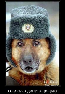 Ростислав Старобогатов | Санкт-Петербург