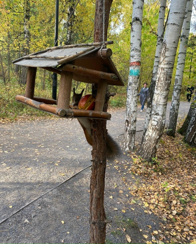 Алёна Никитина | Красноярск