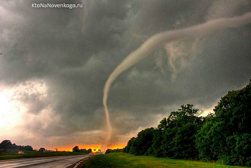 УДИВИТЕЛЬНО, НО ФАКТ… (Часть 94), изображение №20