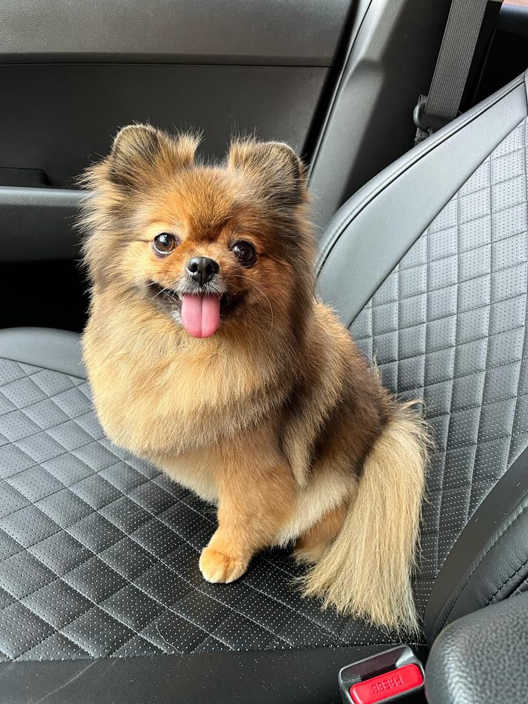 Дмитрий Дроздов | Псков