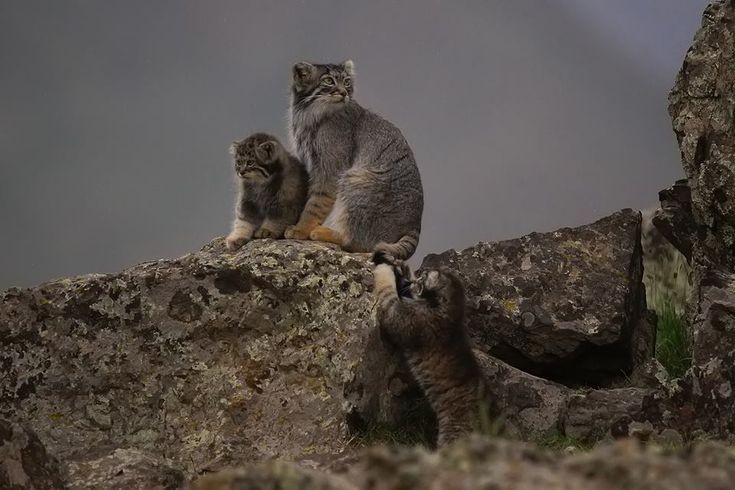 Евгения Бирюкова | Нижний Новгород